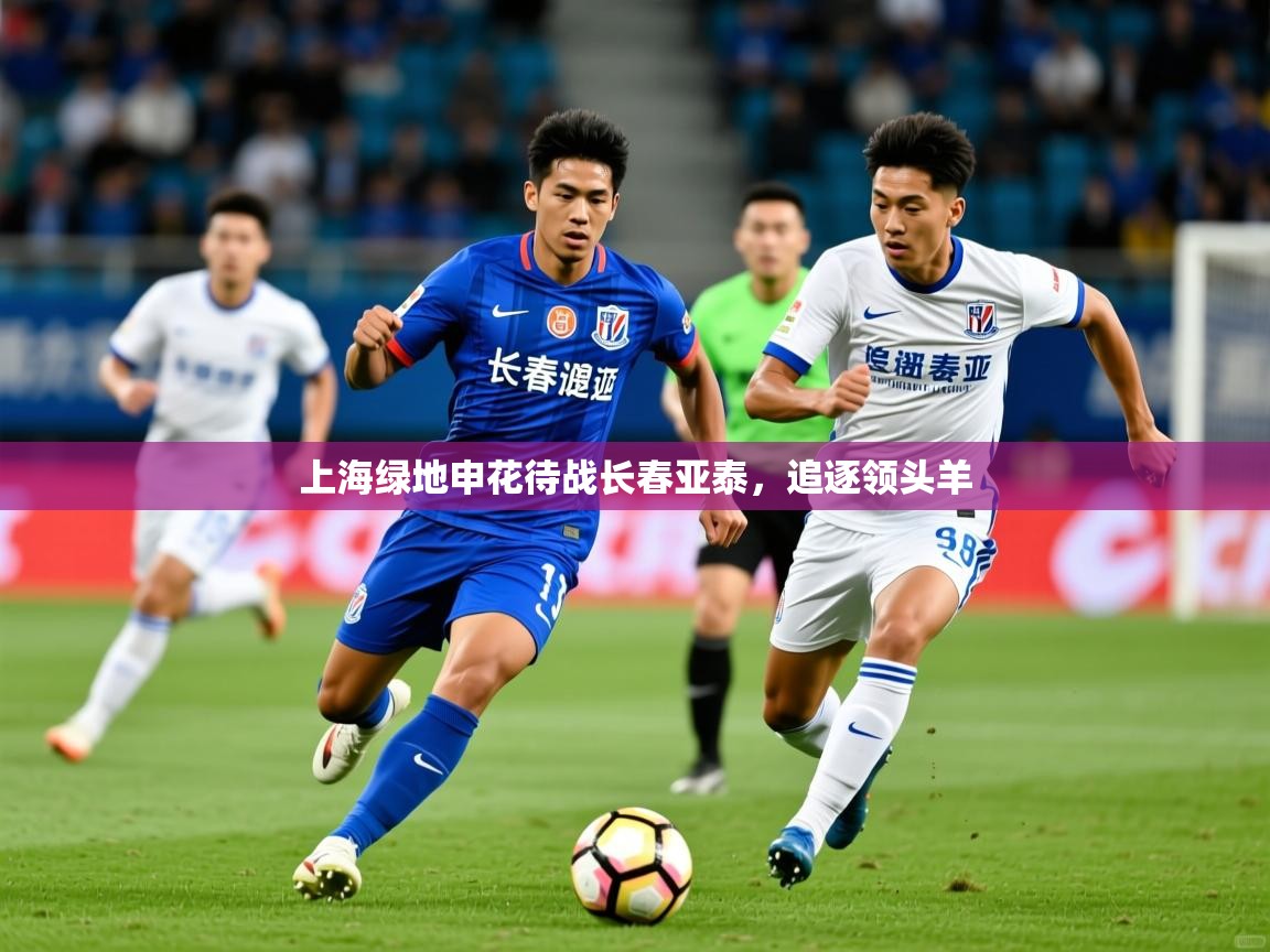 2025 迈博体育娱乐上海绿地申花待战长春亚泰，追逐领头羊